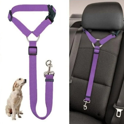 Pet's seat belt