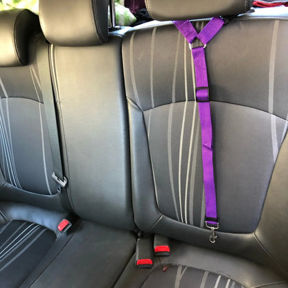 Pet's seat belt