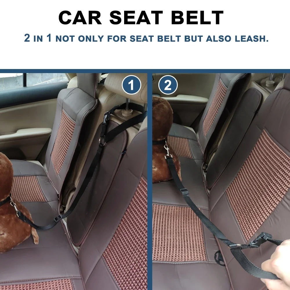 Pet's seat belt